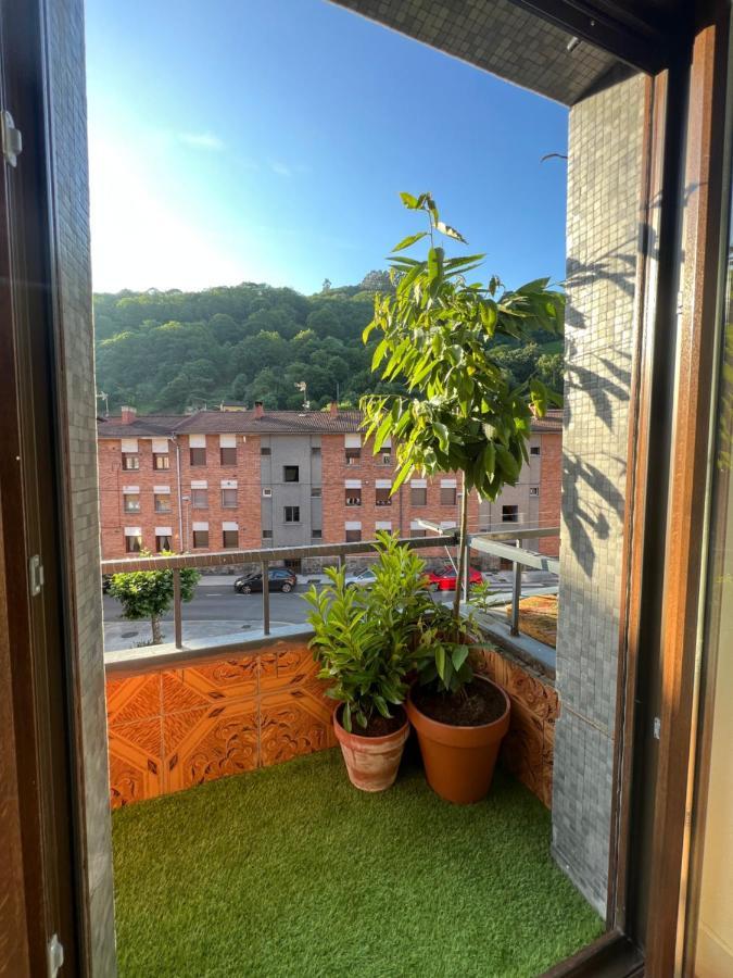 Mountain View Apartment Mieres  Eksteriør bilde
