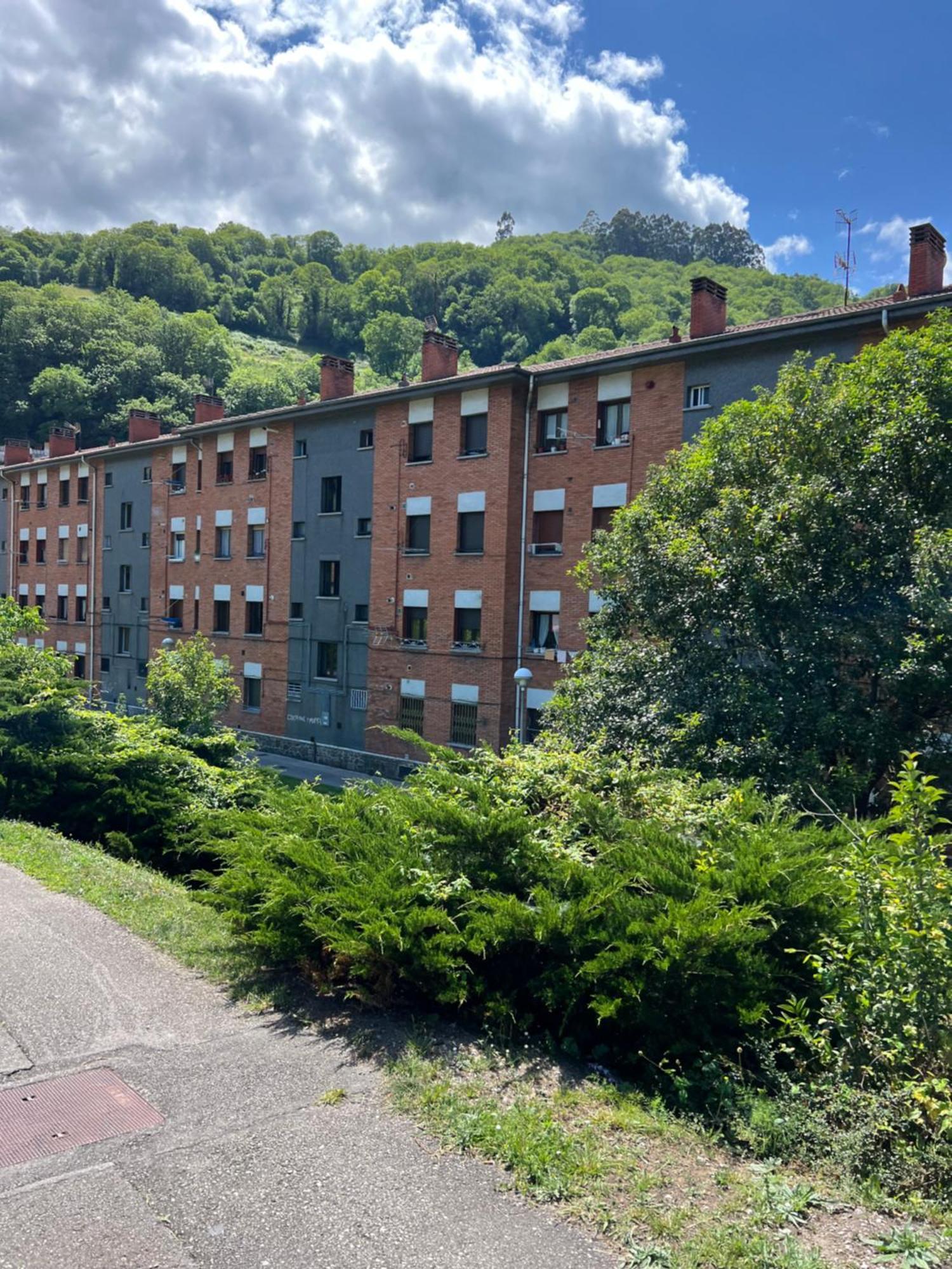 Mountain View Apartment Mieres  Eksteriør bilde